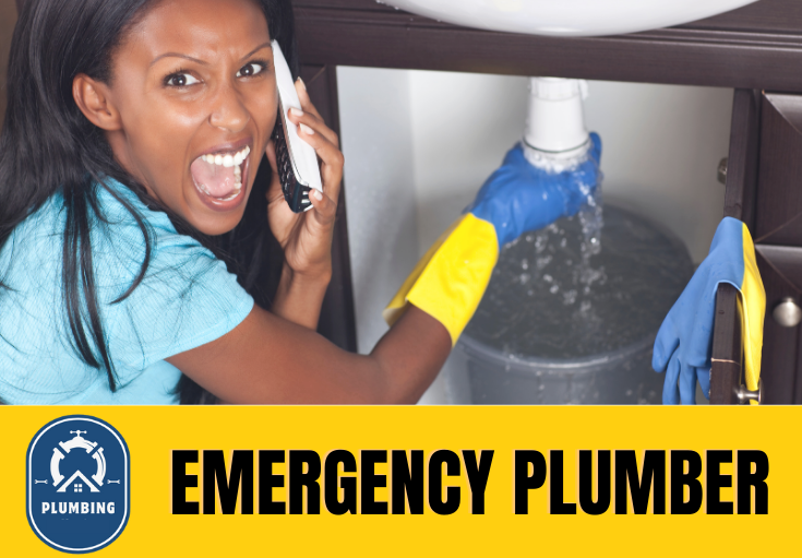 emergency plumber Swale
